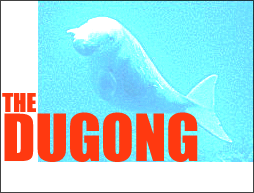 Dugong_Header.gif